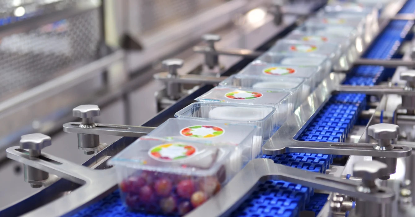 Hatsonu Paketleme Sistemleri